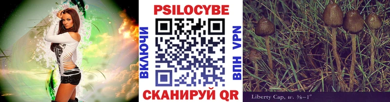Псилоцибиновые грибы Magic Shrooms  дарк нет формула  Грязовец 
